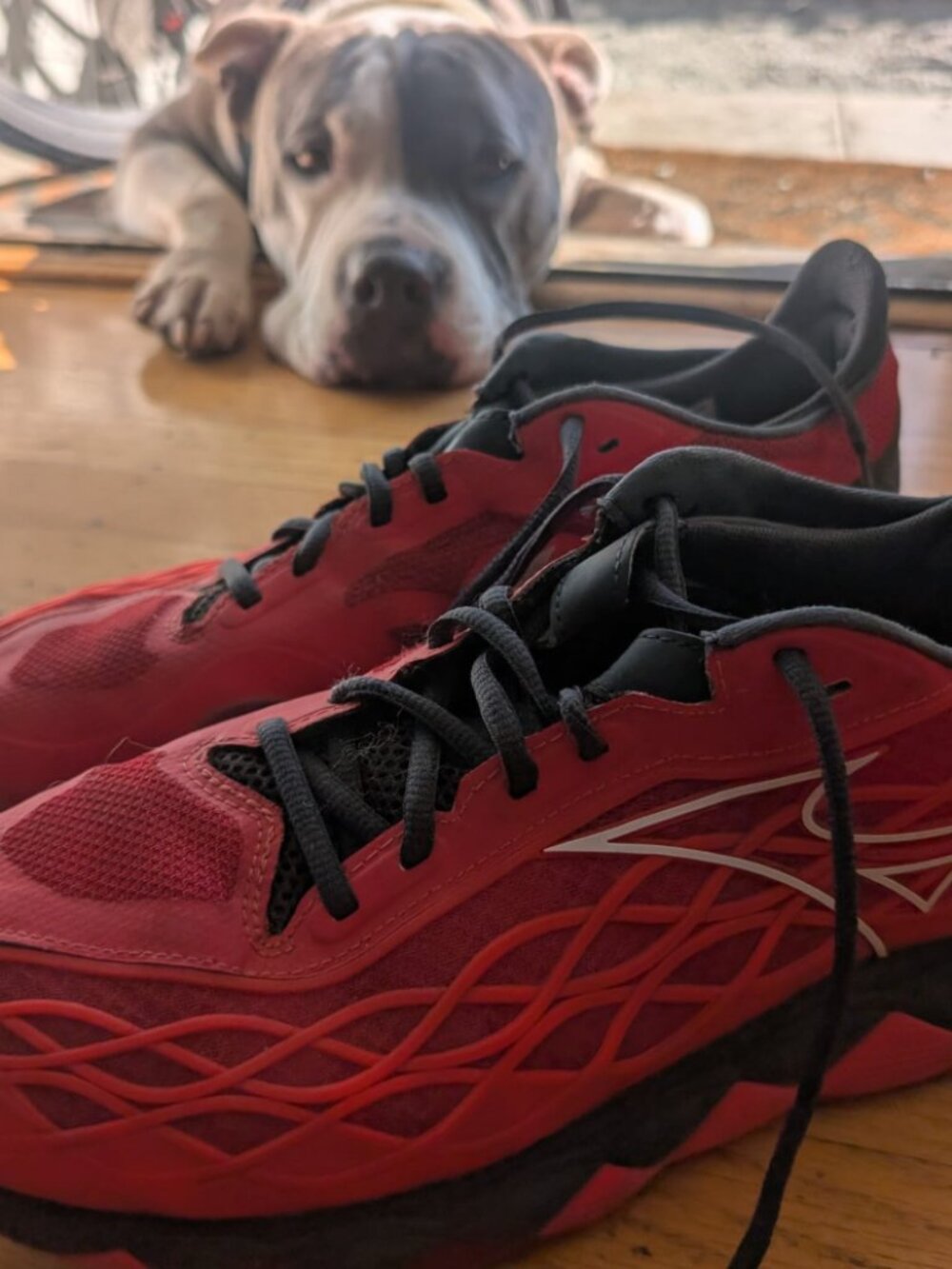 Bundle: Three Pairs of 10.5 Tennis Shoes